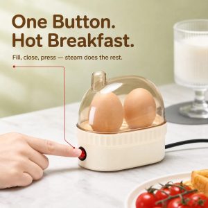 Electric Egg Cooker for 2 Eggs, 120W Mini Steamer with Transparent Lid