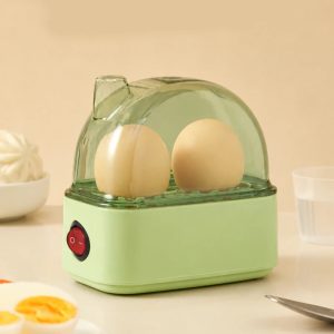 Electric Egg Cooker for 2 Eggs, 120W Mini Steamer with Transparent Lid - Green 2-Egg Steamer / 220-240V